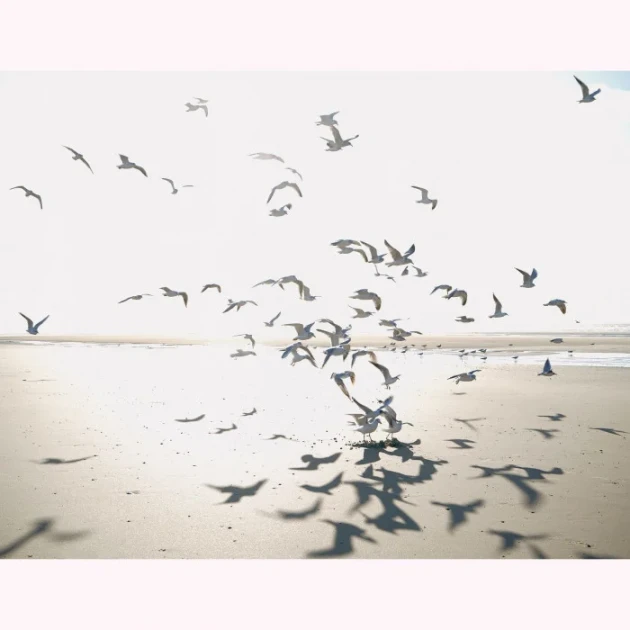 Casadeco 201531011 Seaside Houlgate M Beige Sable – mural morski krajobraz