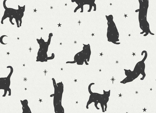 Hovia AN5028WH03W Salem - mural w koty i gwiazdy