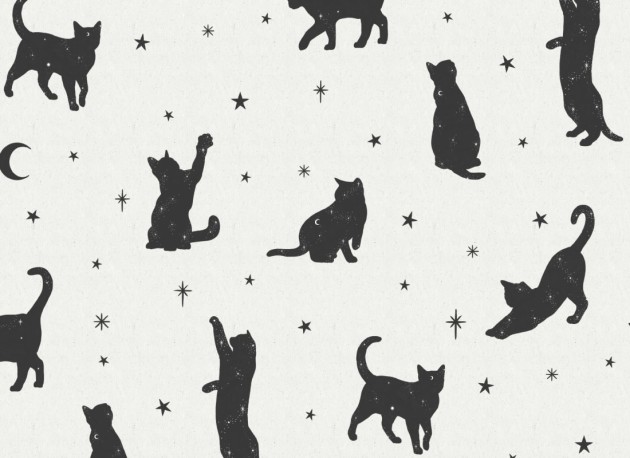 Hovia AN5028WH03W Salem - mural w koty i gwiazdy