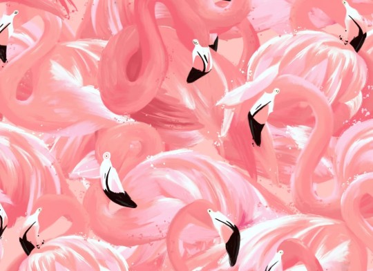 Hovia AN5016PI03W Blush - mural we flamingi