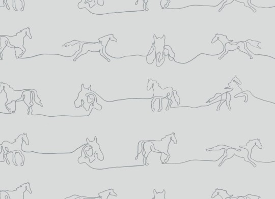 Hovia AN5027GE05W Canter - mural w minimalistyczne konie