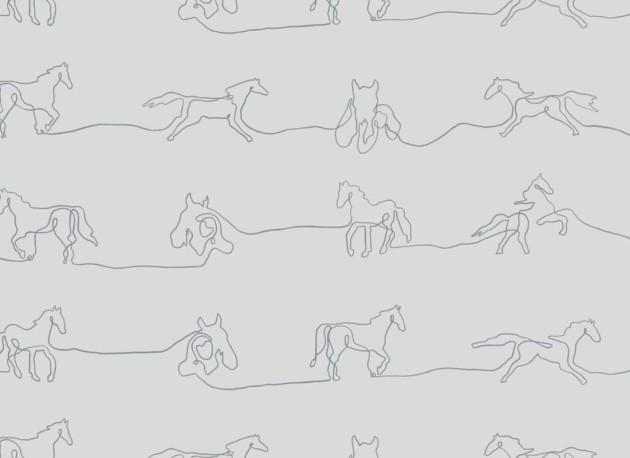 Hovia AN5027GE05W Canter - mural w minimalistyczne konie