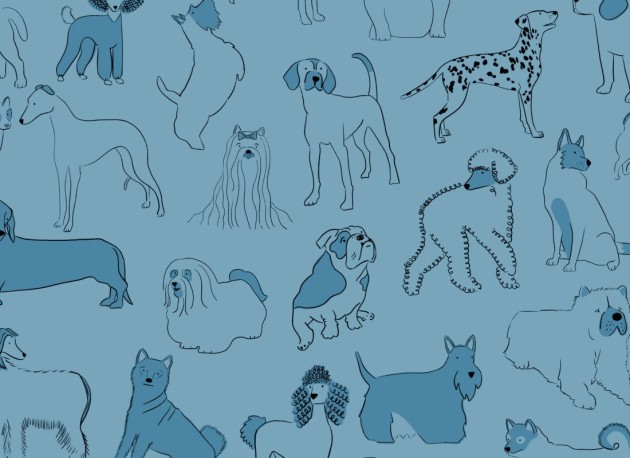 Hovia DO5010BU02W Hound Blue - mural w psy