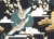 c92618b8b9b4dc38e6e7dceac9b0dc53