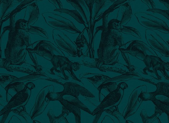 Hovia TR5032DA03W Hornbill Blue - mural w małpy i ptaki