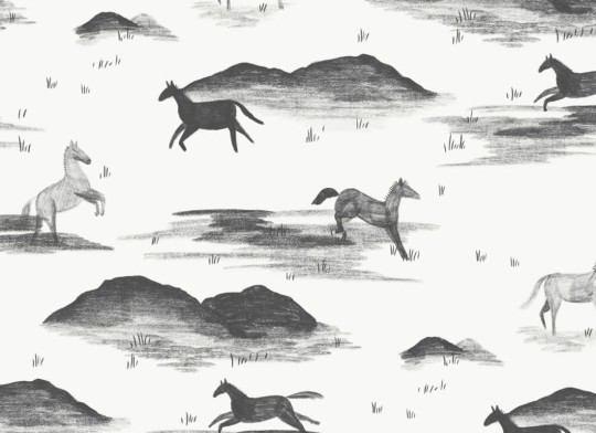 Hovia AN5025GE05W Mustang - mural w konie