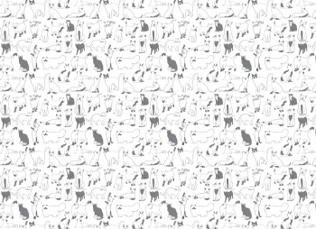 1b52d1053b3687bf47c636e808fbaa8b