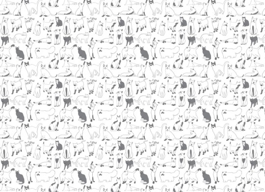 Hovia CA5005BU02W Feline - mural w koty