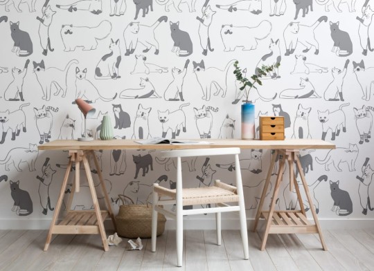 Hovia CA5005BU02W Feline - mural w koty
