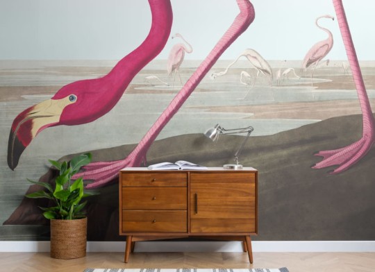 Hovia BI0005BP30W Flamboyance - mural we flamingi