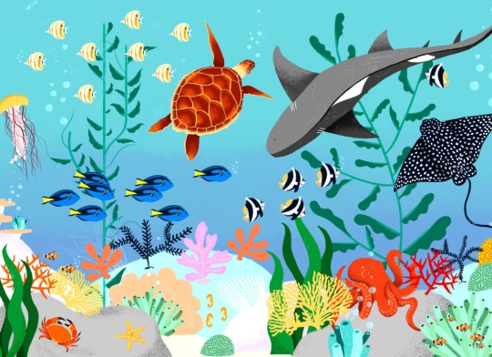 Hovia CH0052MU30W Diver - mural dla dzieci w morski motyw