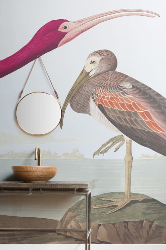 Hovia BI0003BP30W Ibis - mural w ibisa szkarłatnego