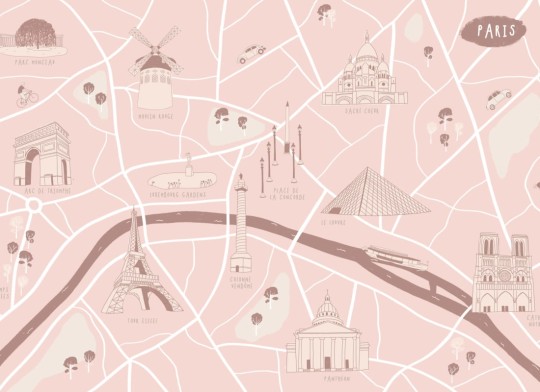 Hovia WM0041PI05W Wander Paris - mural w mapę Paryża