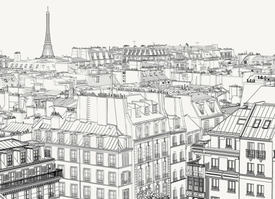 Hovia CI0061BW30W Paris Rooftop - mural w ilustracje dachów paryskich