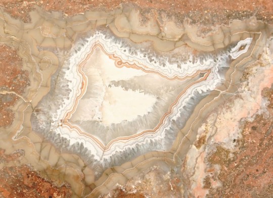 Hovia TE0002MU30W Xylopal - mural w abstrakcyjny wzór