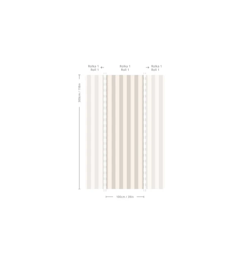Wallcolors TAP-9240 2025 Bold Stripe Ash - mural w paski