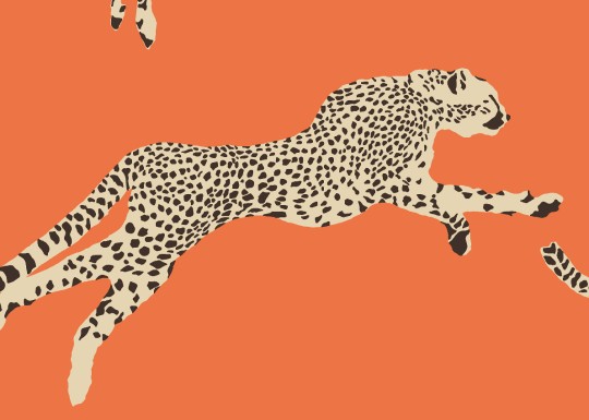 J&V 26017 Scalamandre Leaping Cheetah - tapeta w gepardy