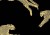 ca8f98ef8c14c64a5a2b8d2df6a75378