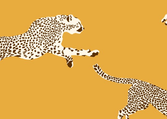 J&V 26020 Scalamandre Leaping Cheetah - tapeta w gepardy