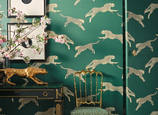 J&V 26020 Scalamandre Leaping Cheetah - tapeta w gepardy