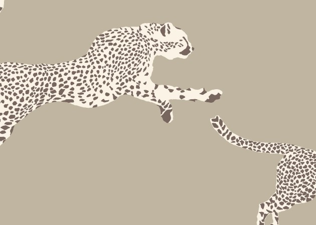 J&V 26021 Scalamandre Leaping Cheetah - tapeta w gepardy