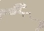 b924775ca8f008b4dfdc1c9fcad873b6