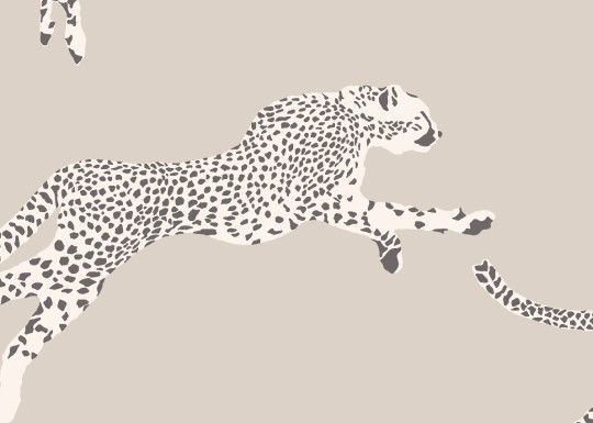 J&V 26022 Scalamandre Leaping Cheetah - tapeta w gepardy
