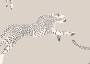 0aa1467debacbc143b211d1167b3bb53