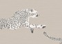 7aeaffe3fe6235cf7a37dbb7020f69a9