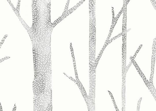 J&V 26045 Scalamandre Everett - tapeta w brzozy