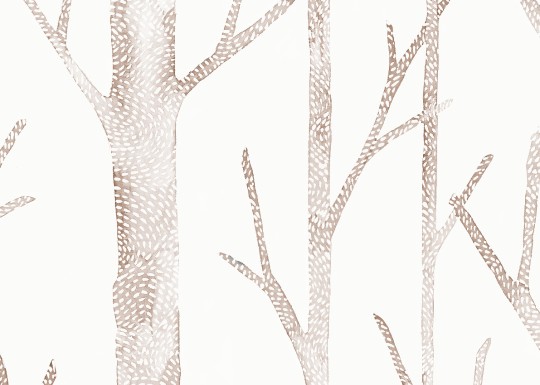 J&V 26046 Scalamandre Everett - tapeta w brzozy