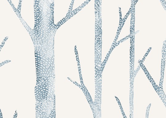 J&V 26047 Scalamandre Everett - tapeta w brzozy