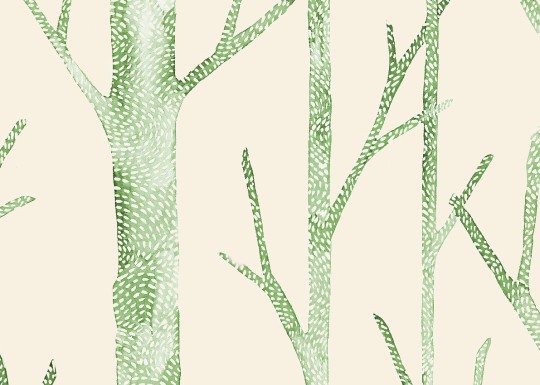 J&V 26048 Scalamandre Everett - tapeta w brzozy