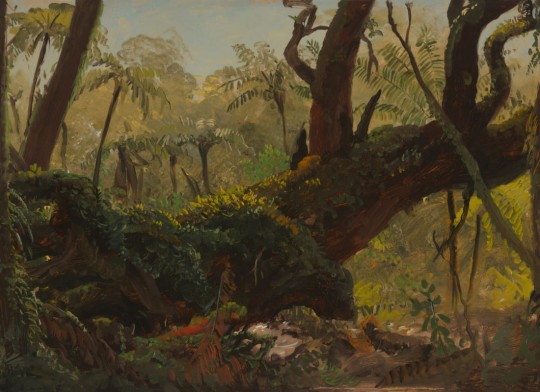 Hovia TR0602GR04W Verdant - mural w egzotyczny krajobraz