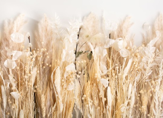 Hovia FL0123NE05W Meadow - mural w zboże i kwiaty