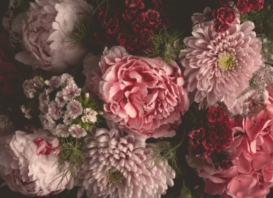 Hovia FL0064PI04W Camilla - mural w realistyczne kwiaty