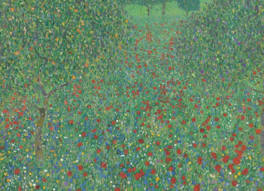 Hovia AR0056GR30W Flowering Poppies - mural w maki Gustava Klimta