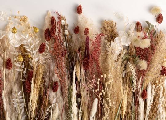 Hovia FL0125NE05W Harvest - mural w suszone kwiaty i zboża