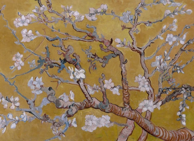 Hovia AR0050YE30W Almond Yellow - mural w kwiaty migdałowca Vincenta Van Gogha
