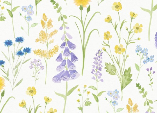 Hovia FL5015MU04W Foxglove - mural w kwiaty
