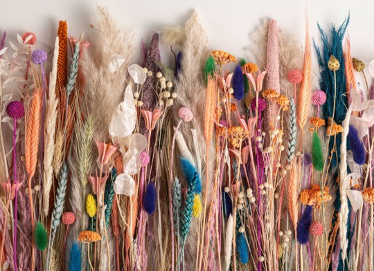 Hovia FL0124PA05W Indie - mural w suszone kwiaty i zboża