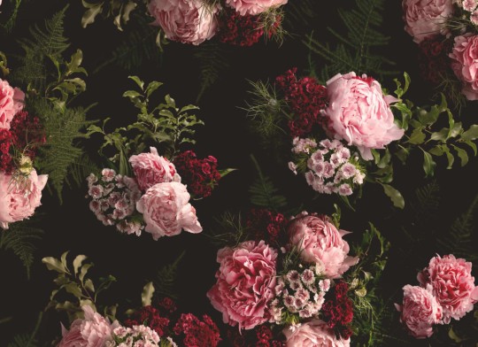 Hovia FL5010PI04W Evelyn - mural w realistyczne kwiaty