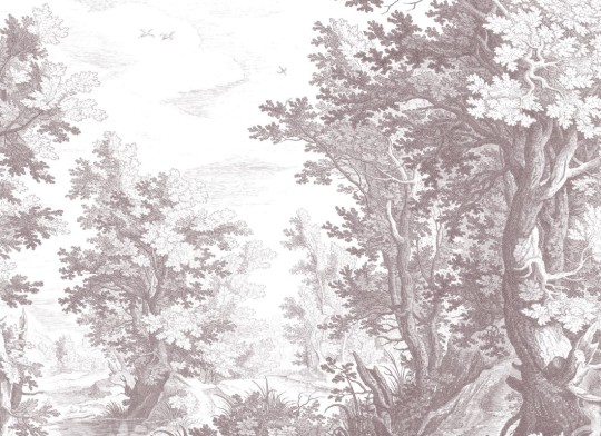 Hovia FO0098GE05W Burnham Grey - mural w leśny krajobraz