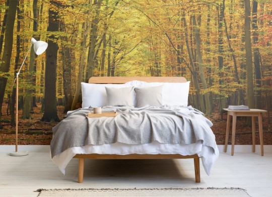 Hovia FO0081YE30W Amber - mural w jesienny las