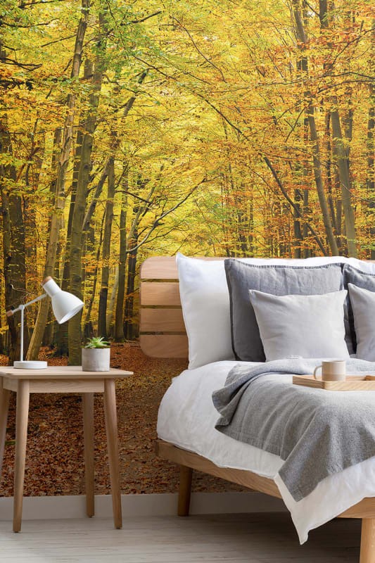 Hovia FO0081YE30W Amber - mural w jesienny las