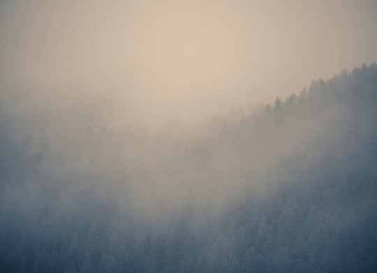 Hovia FO0032NE30W Through the Clouds - mural w zamglony las