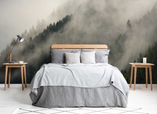 Hovia FO0018GR01W Climb - mural w zamglony las