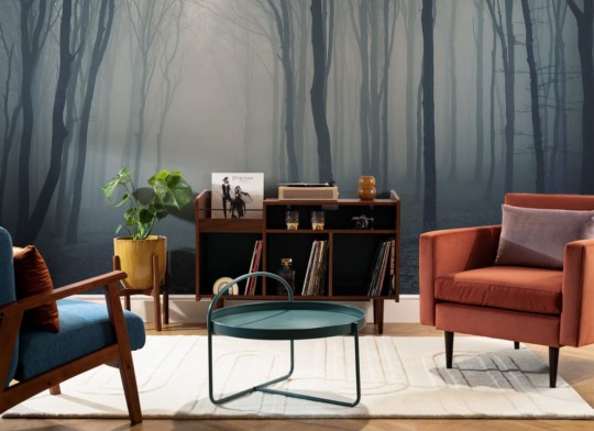 Hovia FO0076BW30W Mystique - mural w zamglony las