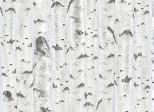 Hovia FO5005NE04W Birch Blue - mural w brzozy