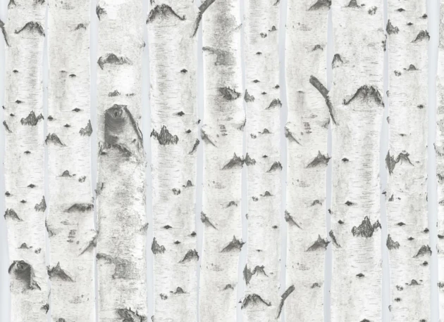 Hovia FO5005NE04W Birch Blue - mural w brzozy